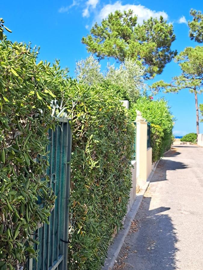 Mini Villa Jardin 50 M Plage ボルゴ エクステリア 写真
