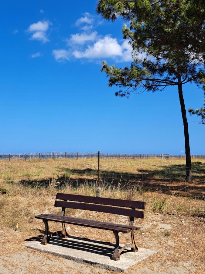 Mini Villa Jardin 50 M Plage ボルゴ エクステリア 写真