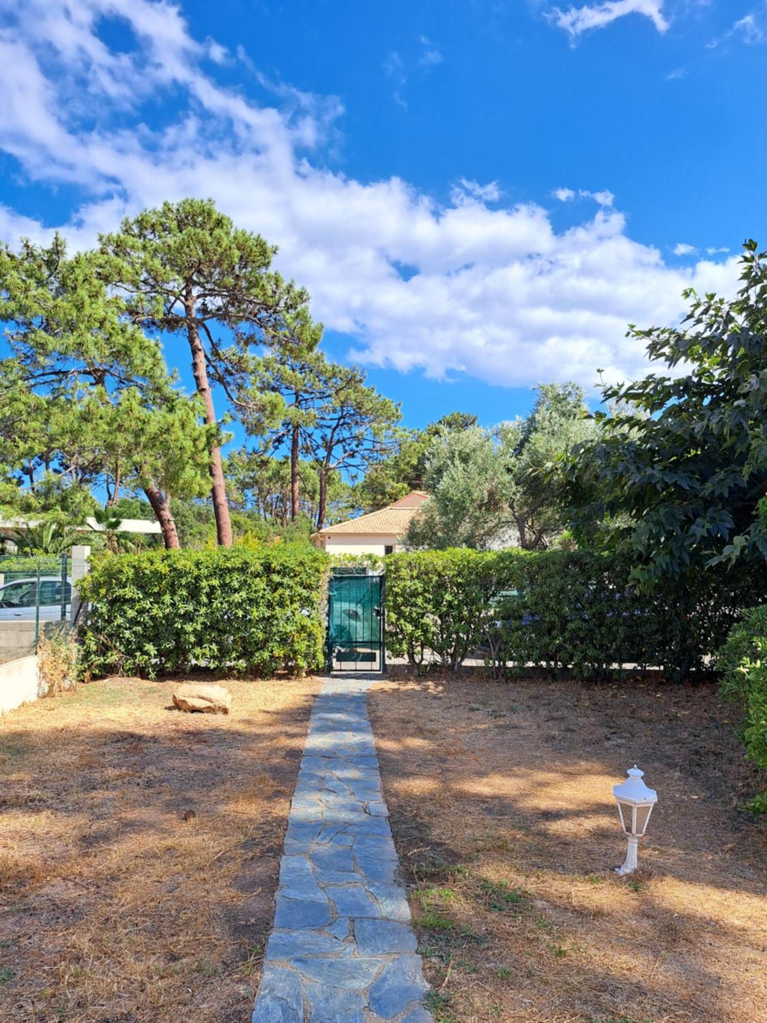 Mini Villa Jardin 50 M Plage ボルゴ エクステリア 写真