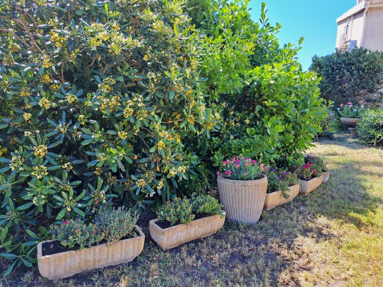 Mini Villa Jardin 50 M Plage ボルゴ エクステリア 写真