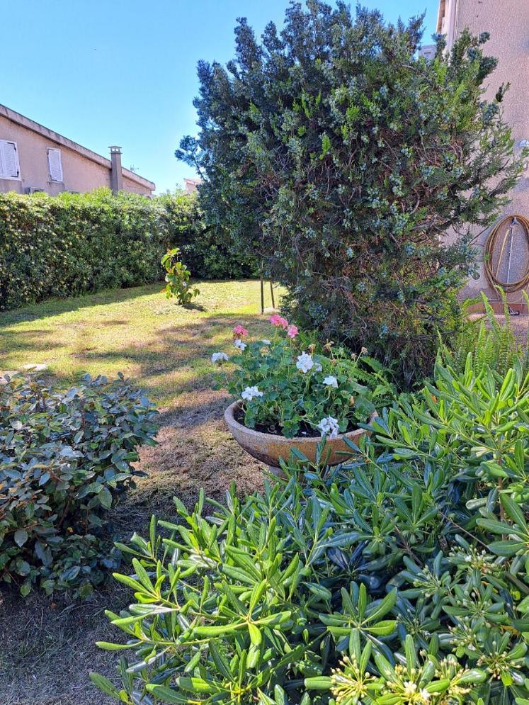 Mini Villa Jardin 50 M Plage ボルゴ エクステリア 写真
