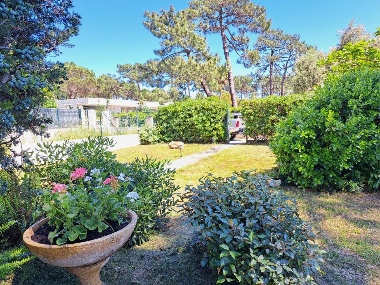 Mini Villa Jardin 50 M Plage ボルゴ エクステリア 写真